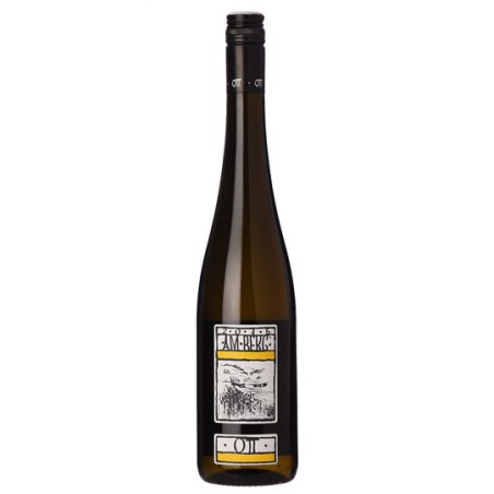 BT150 Gruner Veltliner Fass4 Weingut Ott 2021