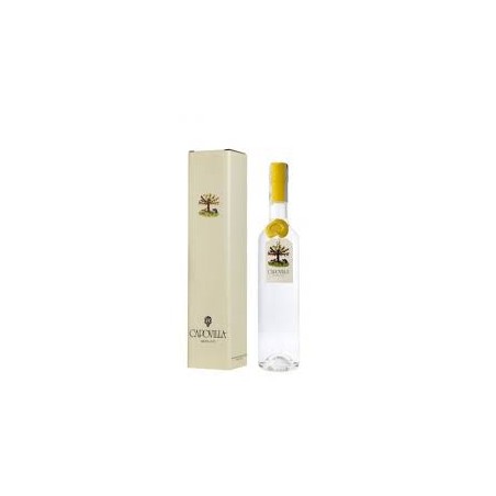 BT50 Grappa Moscato Capovilla