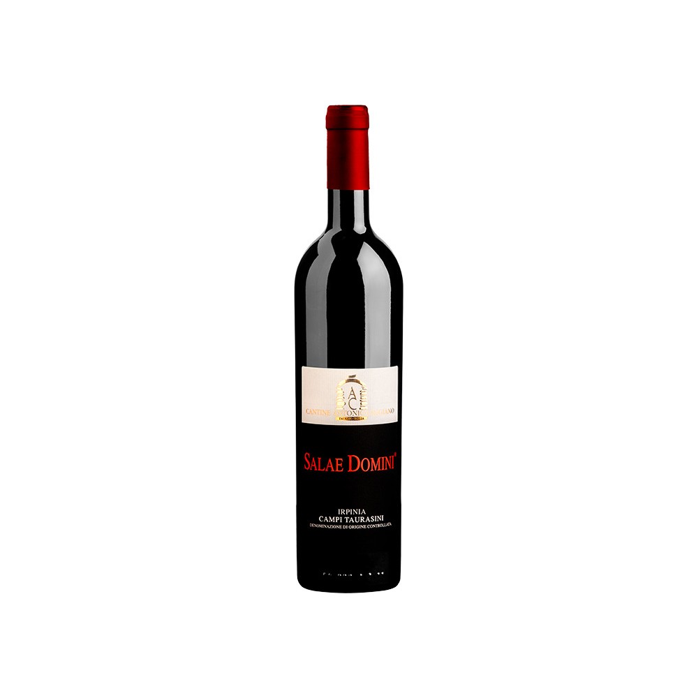 BT75 Aglianico Campi Taurasini  Doc Salae Domini Antonio Caggiano