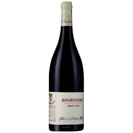 BT75 Bourgogne Pinot Noir Domaine Gilbert et Christine Felettig 2019