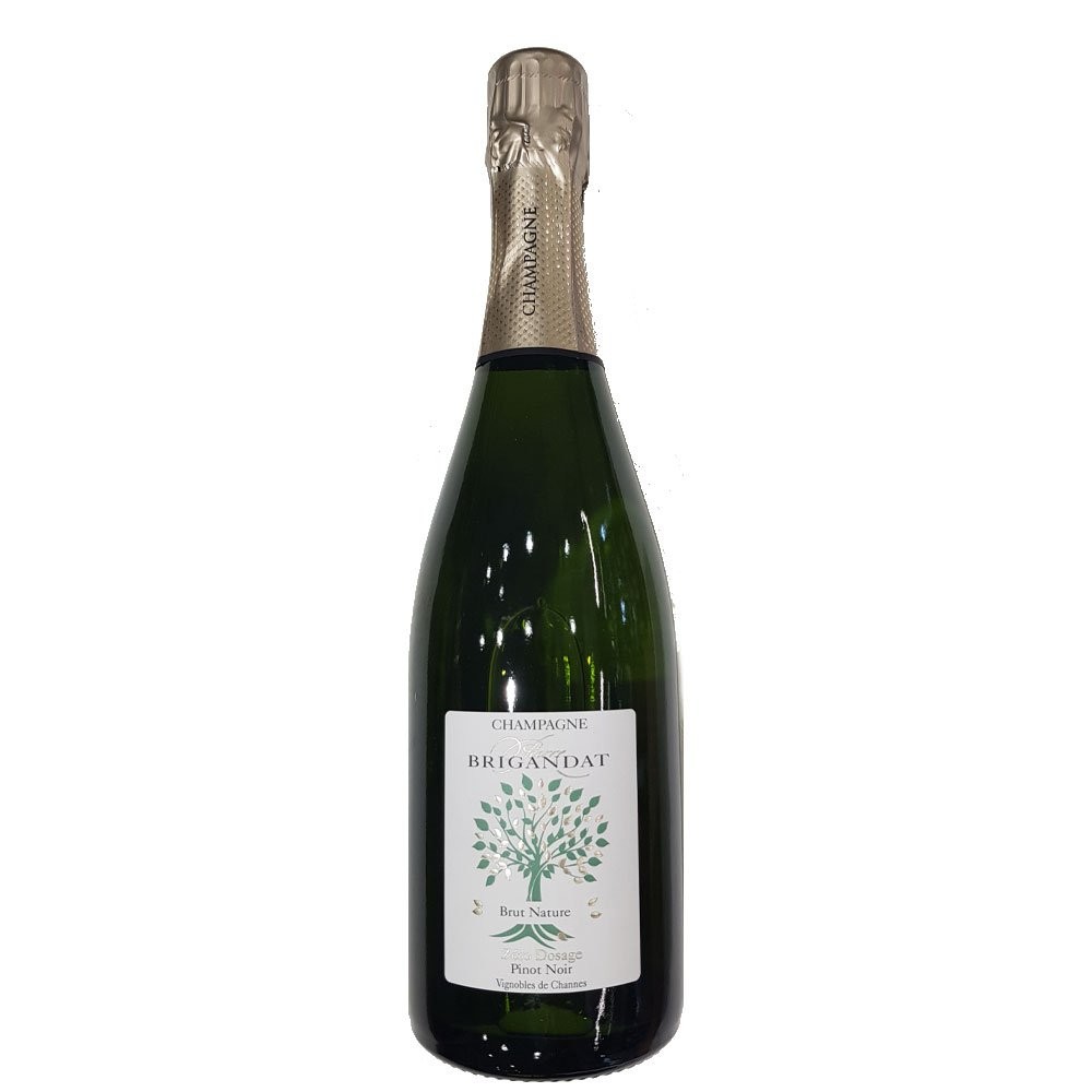 BT75 Champagne Pinot Noir de Channes Nature Brigandat