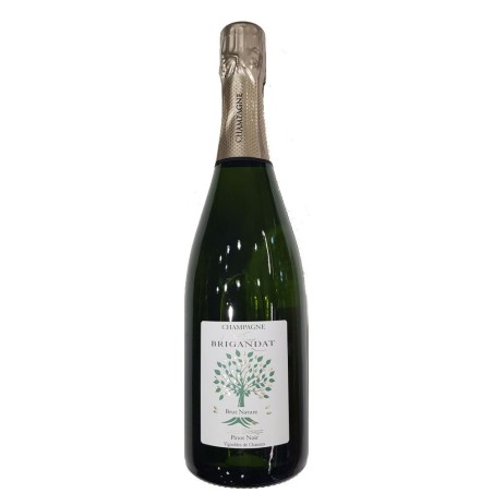 BT75 Champagne Pinot Noir de Channes Nature Brigandat