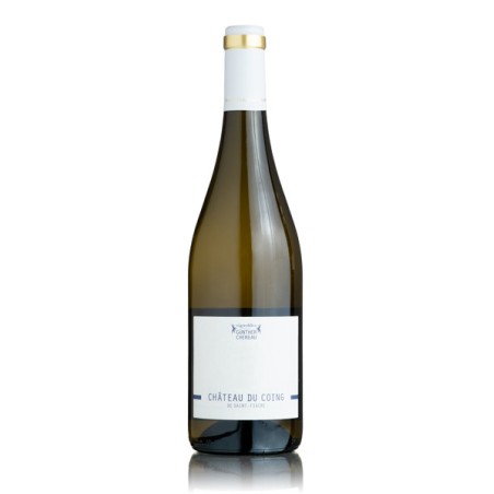 BT75 Muscadet Sevre et Maine Chateau du Coing de Saint Fiacre