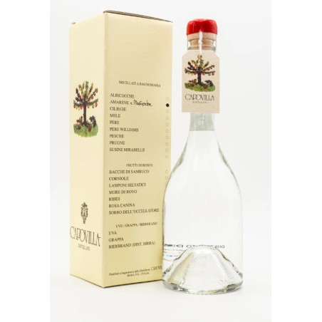 BT50 Distillato di Amarene e Marasche Capovilla