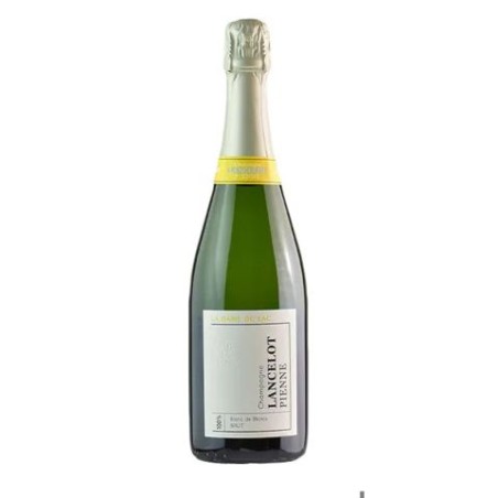 BT75 Champagne Brut BDB Dame Du Lac Lancelot - Pienne