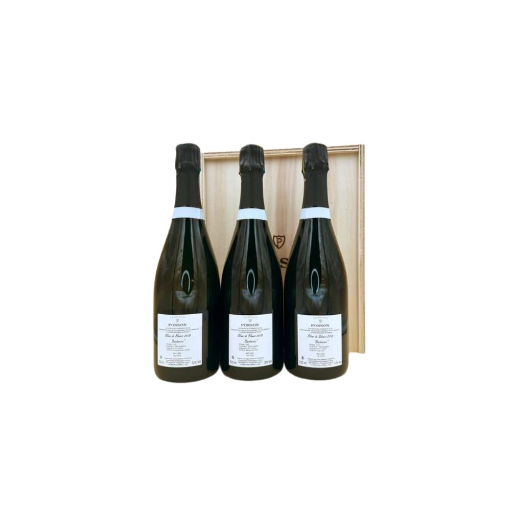BT75 Champagne Barbaries Premier Cru Nature Maxime Ponson 2018
