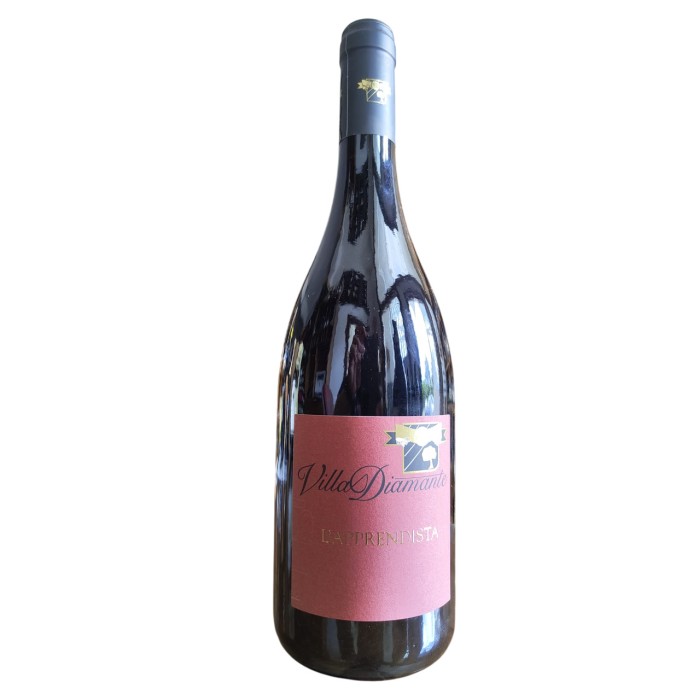 BT75 L'Apprendista Rosso 2024 Villa Diamante Igp