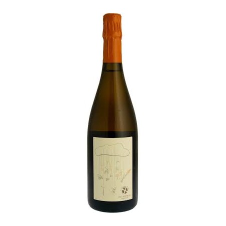 BT75 Le P'Tit Velo A Pignon Fixe Chenin Blanc Nature Domaine de Belliviere
