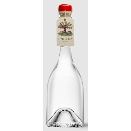BT50 Distillato di Albicocche Val Venosta Capovilla