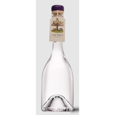 BT50 Distillato di More di Rovo Capovilla