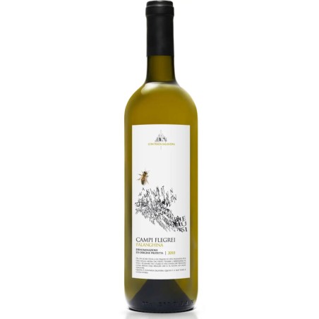BT75 Falanghina Campi Flegrei Salandra Dop 2021