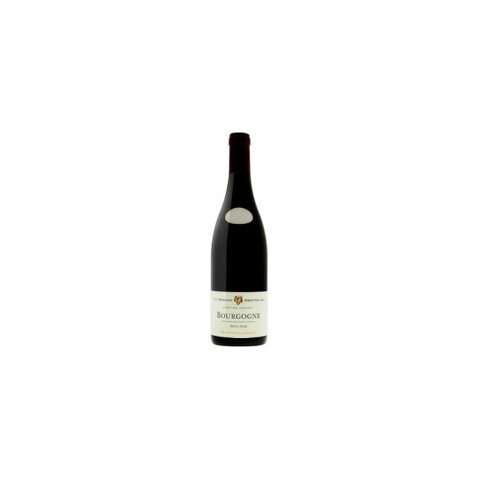 BT75 Bourgogne Pinot Noir Cote D'Or Domaine Forey 2023
