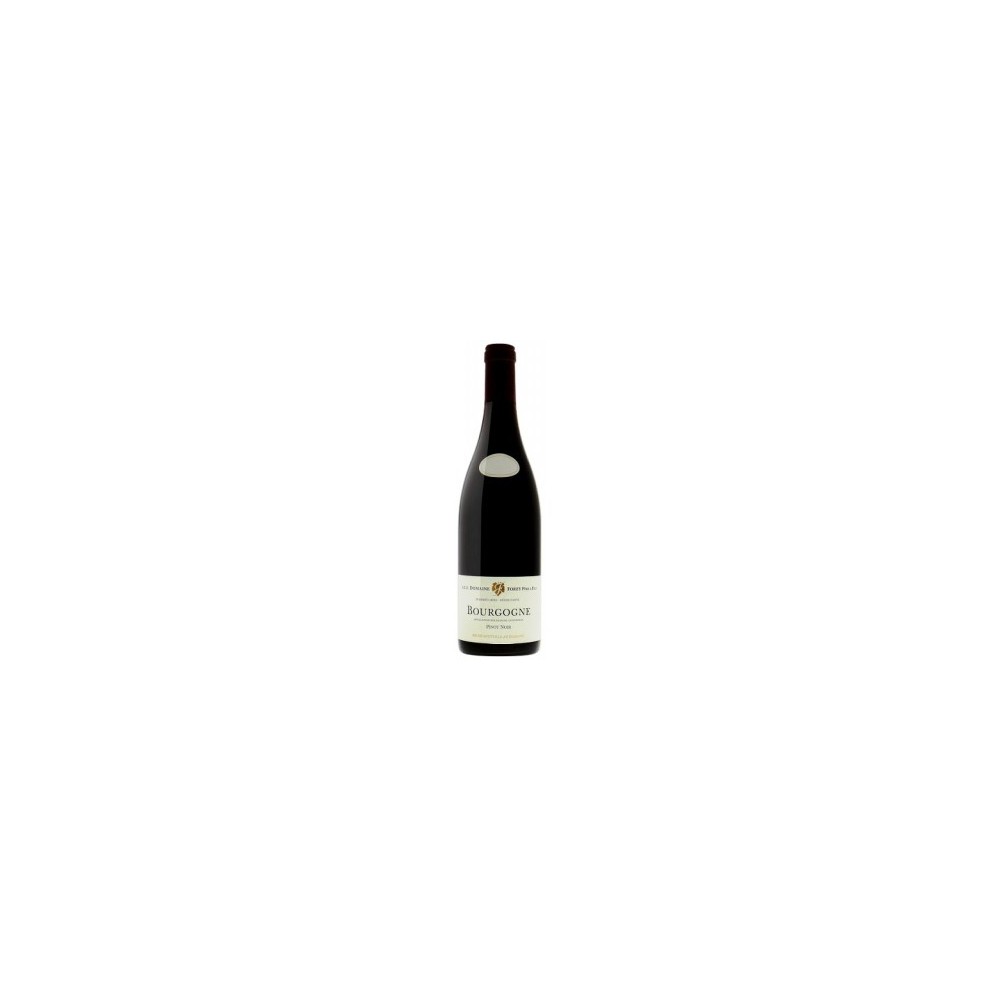 BT75 Bourgogne Pinot Noir Cote D'Or Domaine Forey 2023