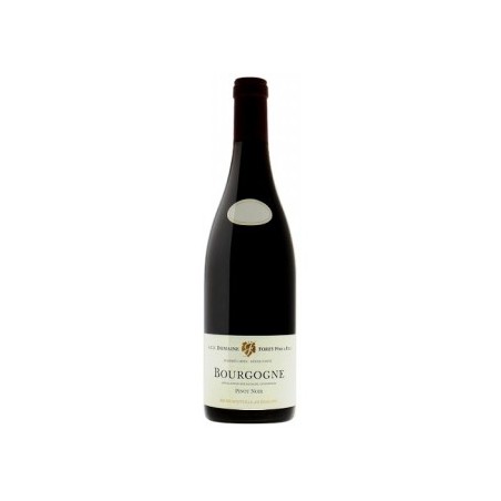 BT75 Bourgogne Pinot Noir Cote D'Or Domaine Forey 2023