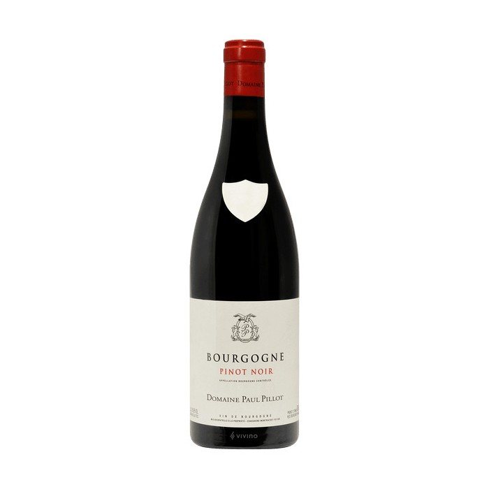 BT75 Bourgogne Pinot Noir Domaine Paul Pillot e Thierry Pillot 2023
