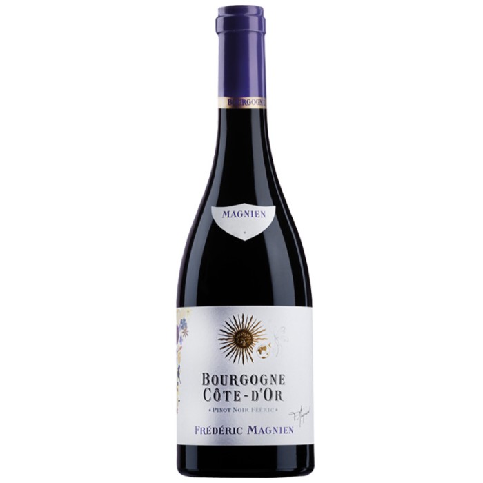 BT75 Bourgogne Pinot Noir Cote D'Or Riserva Feeric  Frederic Magnien 2023