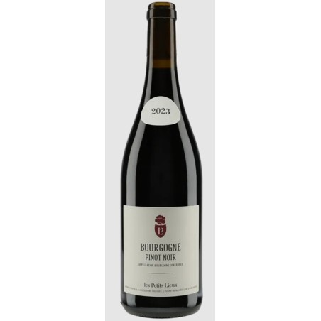 BT75 Bourgogne Pinot Noir Domaine Les Petits Lieux 2023