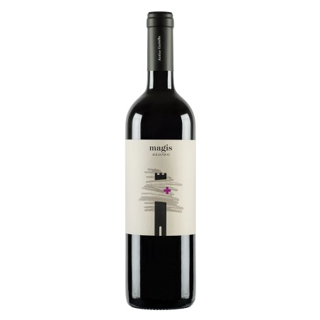 BT75 Irpinia AglianicoMAGISAntico Castello Doc 2021