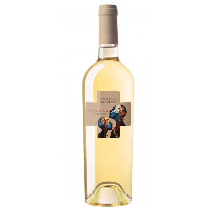 BT75 Chardonnay SalentoCandoraTerrulenta Schola Sarmenti Igt 2025