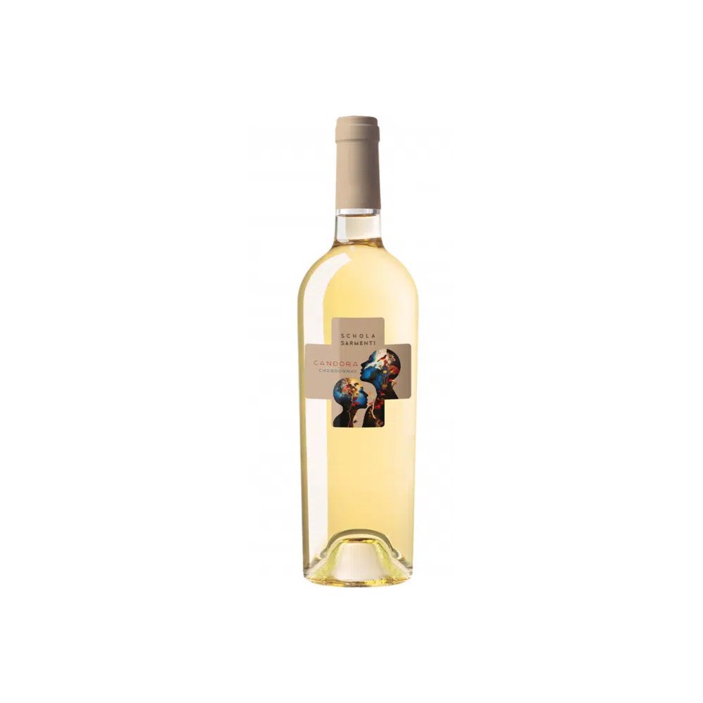 BT75 Chardonnay SalentoCandoraTerrulenta Schola Sarmenti Igt 2025