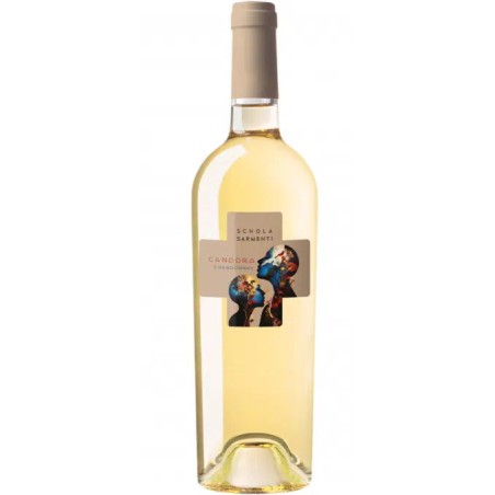 BT75 Chardonnay SalentoCandoraTerrulenta Schola Sarmenti Igt 2025